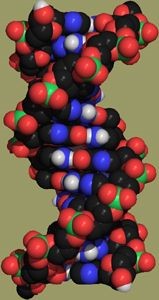 DNA AV.jpg