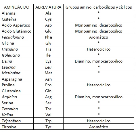 Lista de aminoácidos AVB.jpg