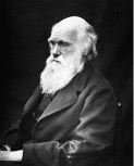 Variación Darwin.jpg