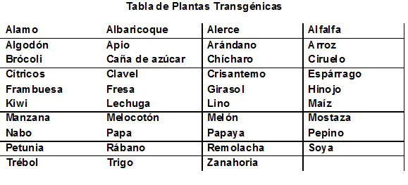 Tabla de plantas transgénicas.jpg