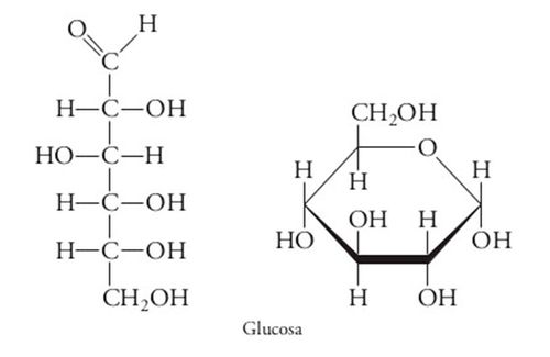 Glucosaav.jpg