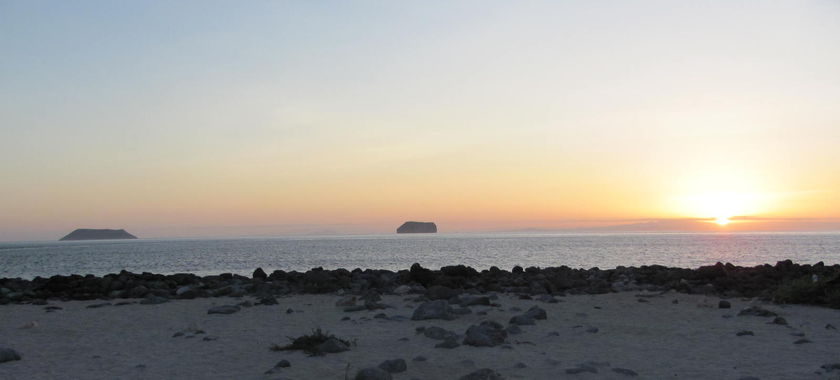 Galápagos Dafne menor y mayor.jpg
