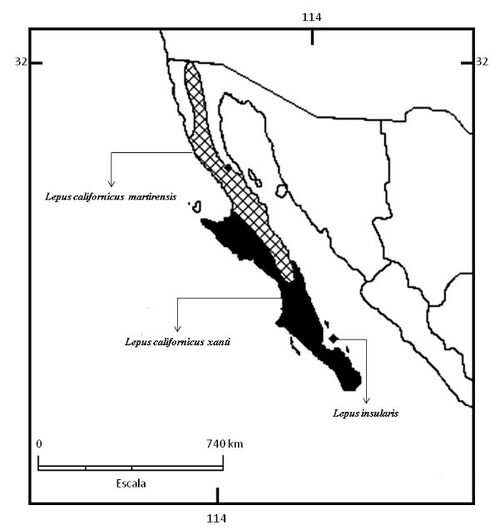 Mapa L. californicus y L. insularis.jpg